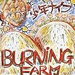 Burning Farm