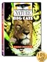 Nature: Big Cats