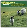 The String Quartet Tribute to the Beach Boys' Pet Sounds