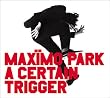 A Certain Trigger
