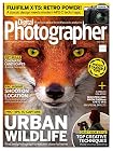 Digital Photographer - England