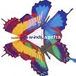 ageha(初回限定盤)(DVD付)