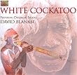 White Cockatoo