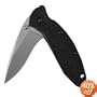 Kershaw Ken Onion Scallion Folding Pocket Knife with Speed Safe