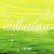 BARFOUT!Presents「authentica citrus」