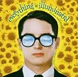 Everything Is Illuminated [Original Motion Picture Soundtrack]