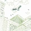 鵬翼 通常盤 ボーナスCD付