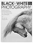 Black and White Photography