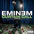 Curtain Call: The Hits