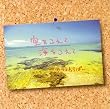 空をこえて 海をこえて