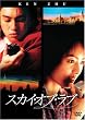 F4 Film Collection スカイ・オブ・ラブ 特別版 (初回限定豪華BOX仕様) [DVD]