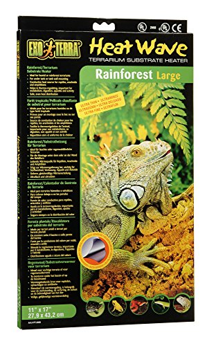 Exo Terra Heatwave Rainforest