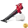 Troy-Bilt TB310QS Mulchinator 31cc 2-Cycle Gas-Powered 165 MPH Blower/Vacuum