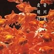 夜明け