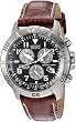 Citizen Eco-Drive Men's Perpetual Calendar Watch #BL5250-02L