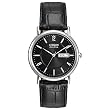 Citizen Eco-Drive Men's Black Leather Watch