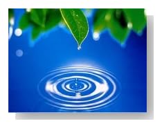 Zen of Stress Reduction & Relaxation Self Hypnosis Stress Management CD