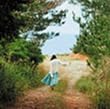 陽の照りながら雨の降る(初回限定)