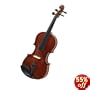 Cecilio CVN-100 4/4 Full Size Rosewood Violin with Case and Accessories