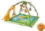 Fisher-Price Rainforest Melodies & Lights Deluxe Gym