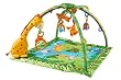 フィッシャープライス レインフォレスト デラックスジム