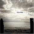 VINNYBEACH~架空の海岸~(初回限定盤)(DVD付)