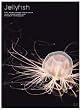Jellyfish ヒーリングアート クラゲ