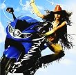 ハネウマライダー