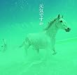 元気ですか