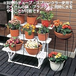 �����ɂ�������̔��ɎU��