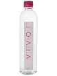 (お徳用ボックス) ナノクラスター水VIVO(ヴィボ) Beauty 500ml*24本