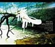 COLLECTION SIMPLE PLUS (限定盤)(DVD付)