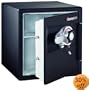 SentrySafe DS3410 Black Fire-Safe 1.2-Cubic Foot Combination Safe