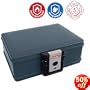 First Alert 2017F Fire and Water Chest, 0.19 Cubic Foot, Gray