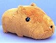 きゅぴきゅぴカピバラさんぬいぐるみ