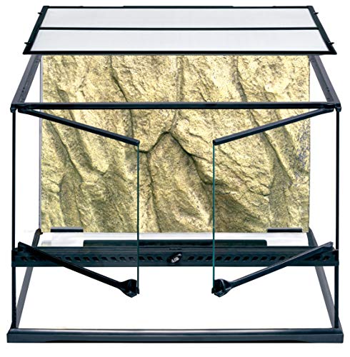Exo Terra Glass Terrarium Tank