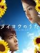 タイヨウのうた DVD-BOX