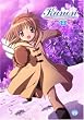 Kanon 8