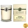 Archipelago Botanicals LEMON EUCALYPTUS CANDLE 60 Hour Aromatherapy Home Fragrance Signature Series All Natural Hand Poured Premium Soy Wax Jar Candle W/ Deluxe Gift Box