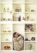 花菜便り～Uemura Kana Music Clips～ [DVD]