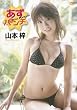 山本梓 あずパンチ [DVD]