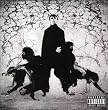 Hyena-Auditory Impression-