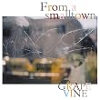 From a smalltown(初回限定盤)(DVD付) [Limited Edition]