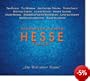 Hesse-Projekt