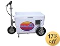Cruzin Cooler 50-Series 500-Watt Electric Scooter
