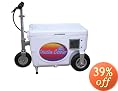 Cruzin Cooler 50-Series 500-Watt Electric Scooter