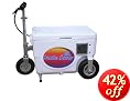 Cruzin Cooler 50-Series 500-Watt Electric Scooter