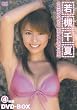 若槻千夏 DVD-BOX