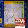 スネークス&アローズ