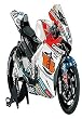 1/12 オートバイシリーズ No.108 LCR Honda RC211V'06